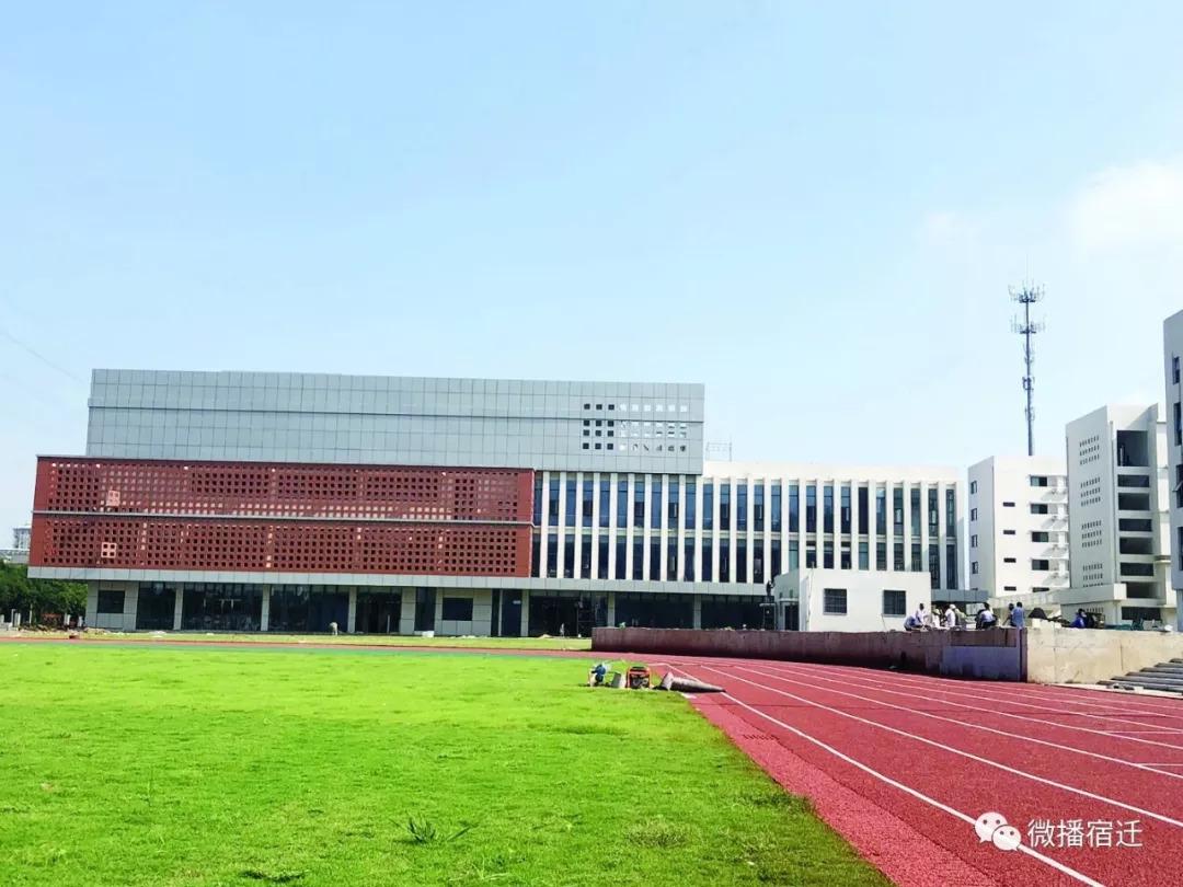 青海湖路小学最新动态，发展视角与观点透露学校新进展