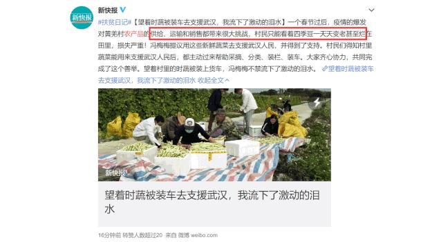 广西西瓜最新批发价格揭秘与探讨