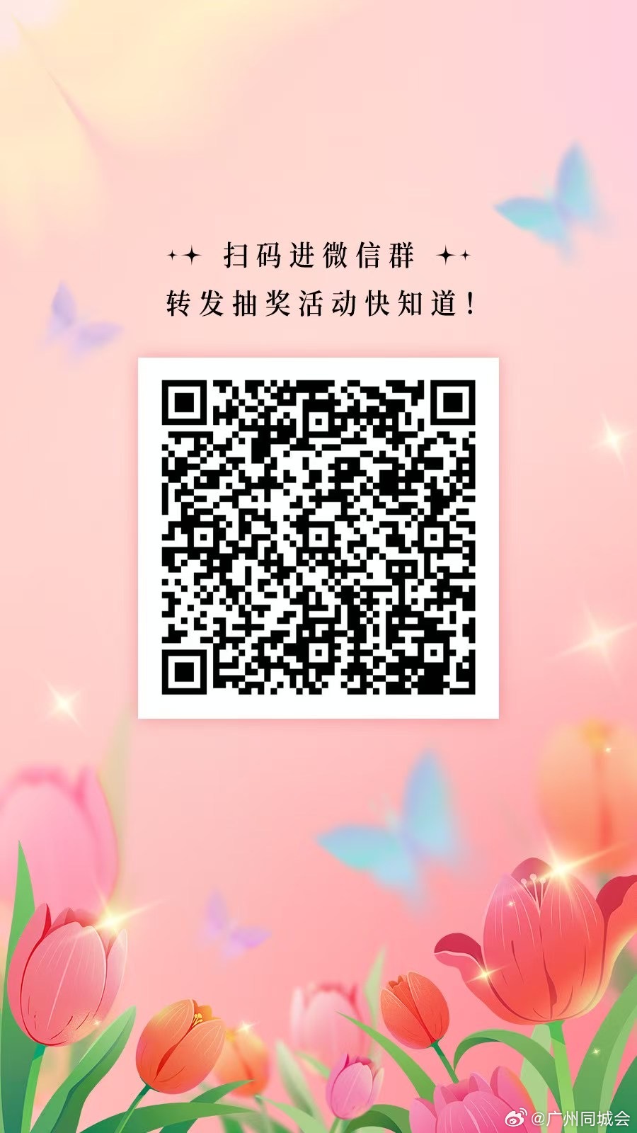 揭秘最新视频福利群二维码，观点论述与福利分享新动向