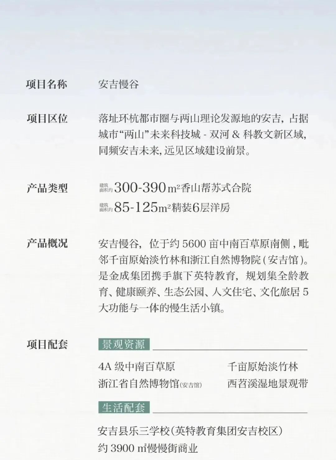 安吉房屋出租最新动态，小巷深处的独特风情小店